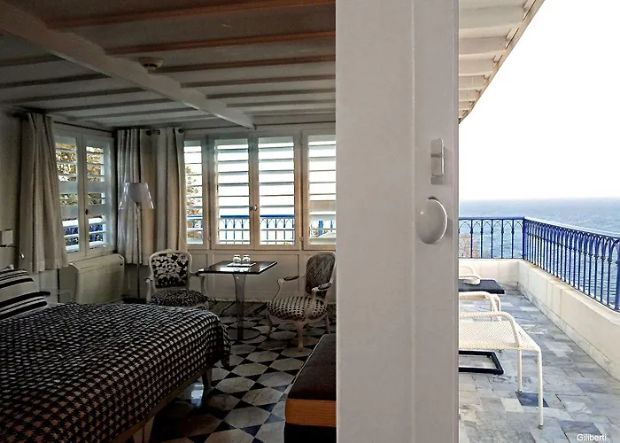 Hôtel accueillant les animaux: La Villa Bleue-Sidi Bou Said